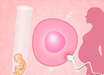 成都正规助孕服务中心的流程通常包括以下几个步骤